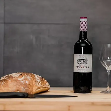 Tokyo Le Magnifique T2 * Montauban